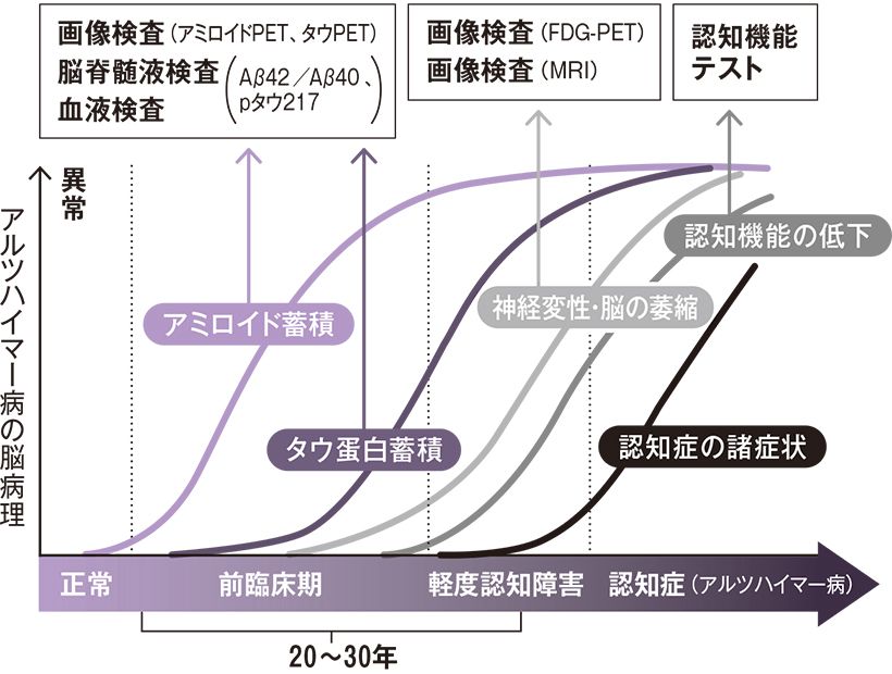 Jack et. al. Lancet Neurol（2010/2013）より改変して引用
