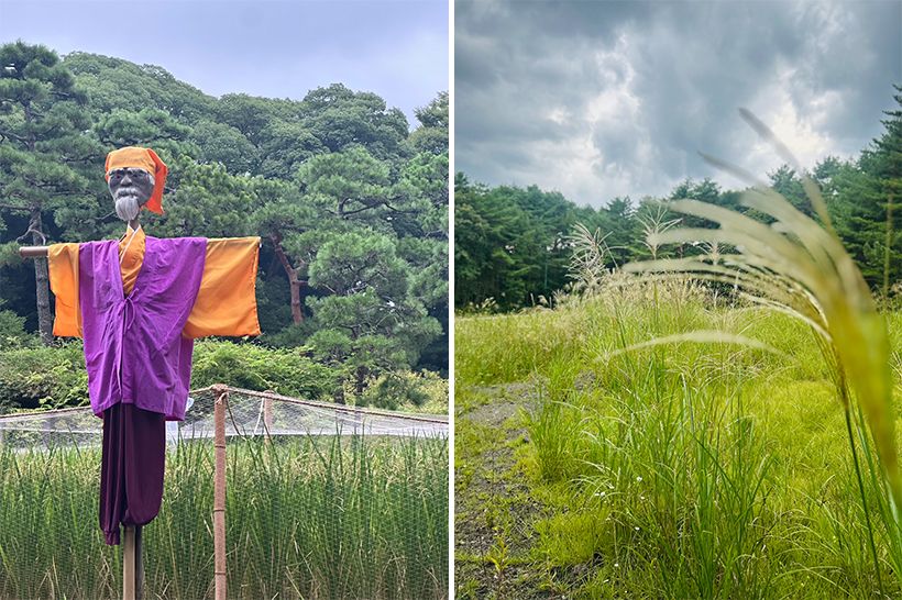 左・水戸黄門スタイルのカカシを発見した村雨さん、思わず「収穫を目前にした稲穂を、最強の紋所が守る」とコメント。右・地方ロケで見つけた“小さな秋”の風景も届けてくれました。