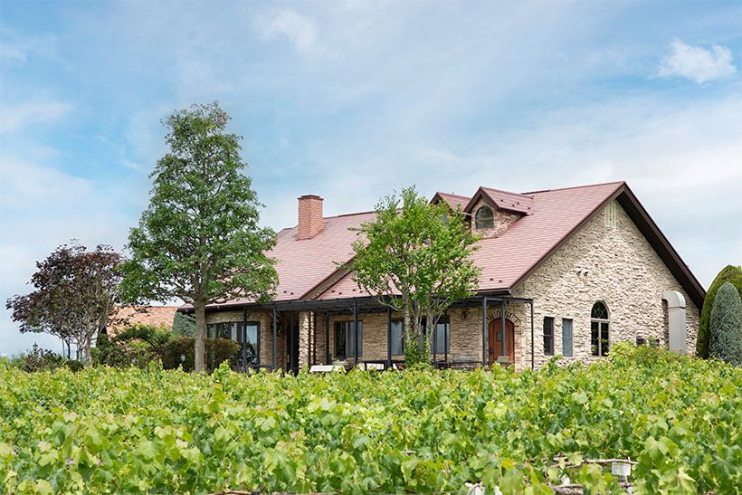 フルーツ王国と呼ばれる山梨でも、昼夜の寒暖差が大きく日照時間も長い韮崎は特にブドウの栽培が盛んに行われている。