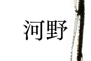 鎌倉幕府にも関係あり。愛媛県がルーツの名字「河野」