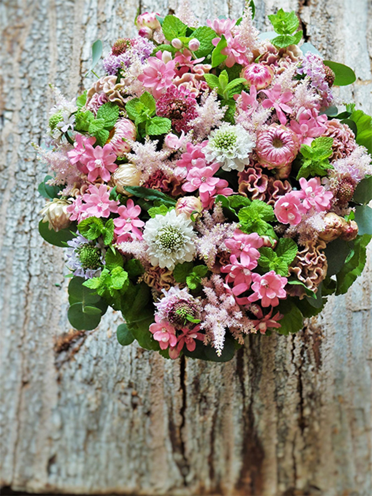 高知県産のオキシペタラム‘ラブリーピンク’を使って、バースデーを祝う贈り花を制作。スカビオサ、アスチルベ‘ライトピンク’、ケイトウ‘プチフルーツ マーメイドピンク’などピンクの花を集めたアレンジですが、オキシペタラムの発色のよさがわかると思います。ほかにヘリクリサム‘モンストローサ’、アップルミント、グリーンフレイクゼラニウムなどを使用。