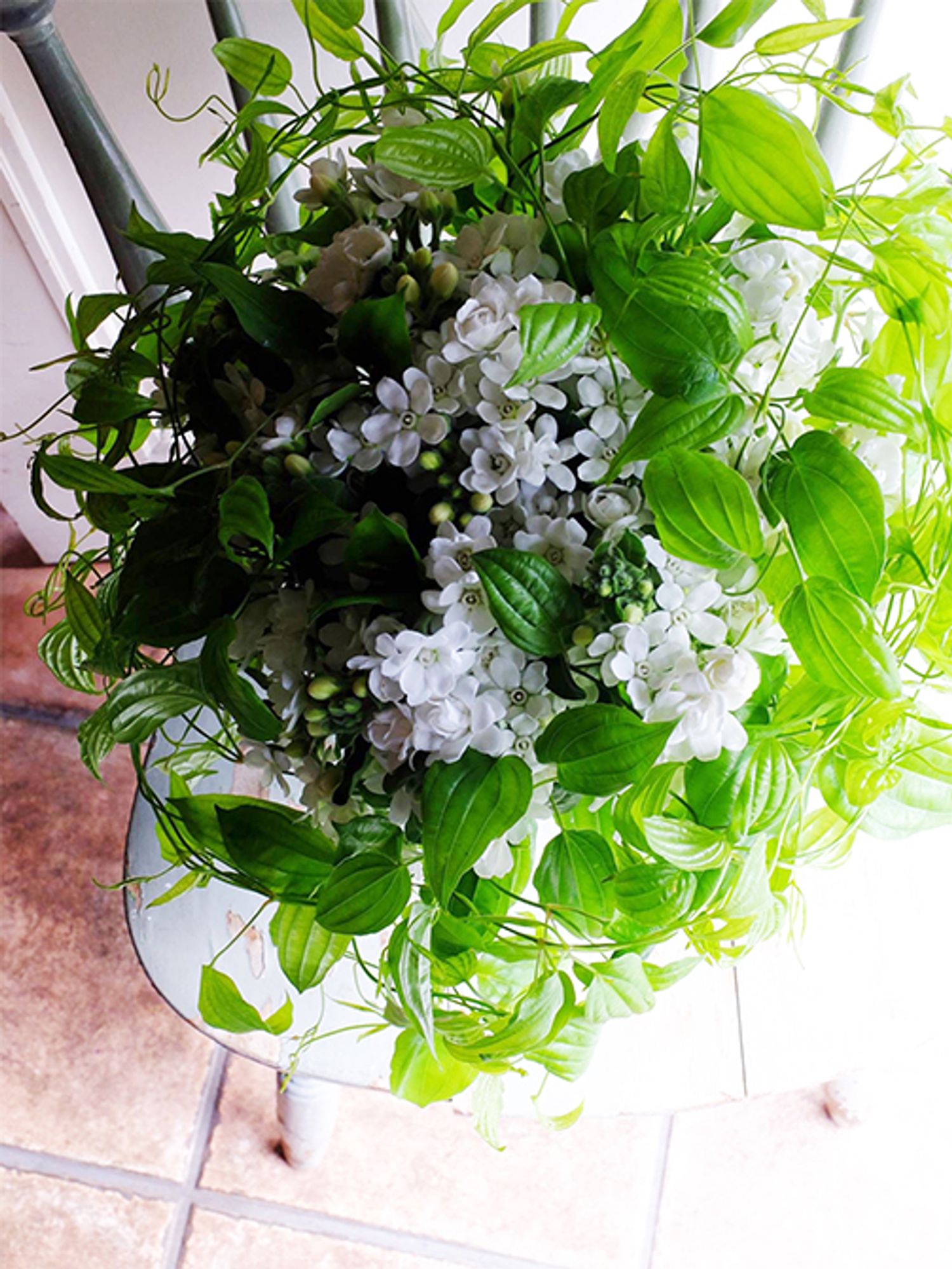 オキシペタラム‘マーブルハピネス’にやわらかな緑色のリキュウソウのみを合わせたブーケです。清潔感があり、ナチュラルな雰囲気の花合わせなので、ウエディングシーンの花にも向きます。‘マーブルハピネス’は花が葉の下に隠れずに咲くので、花をかためて挿すことができるのも魅力です。