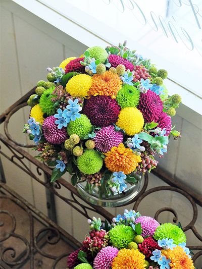 園芸雑誌の表紙用アレンジの依頼をいただき、この時期に豊富に出回るピンポンマムをベースにしたラウンドアレンジを制作しました。ピンク、オレンジ色、黄色、黄緑のカラフルな花色の中で、オキシペタラム‘おるきブルー’がパッと目立つアクセントとして活躍。星が散らばるようにかわいらしい花形をいかしてみました。ほかにバーゼリアの‘ガルピニ’、ガマズミなどを使用。
