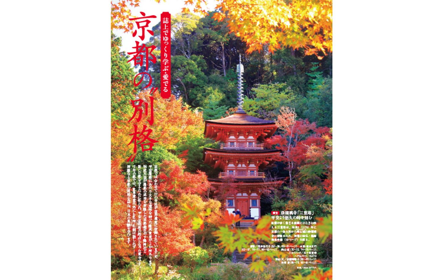 誌上でゆっくり学ぶ・愛でる　京都の“別格”