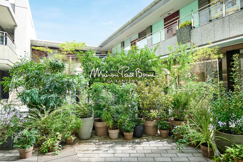 都会の喧騒を忘れる、緑に包まれたエントランス