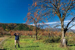 今森光彦さん「いきものと歩む“環境農家”の愉しみ」第7回　循環の香りがする土