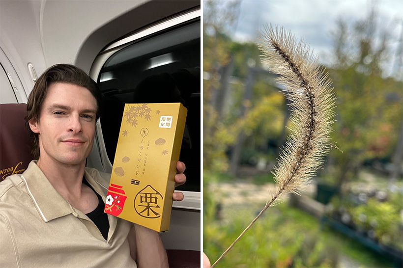 左・「名古屋で買ったお土産は秋限定の栗の風味でした」と、新幹線で満足そうな笑みを浮かべて。右・家の付近で愛猫、メちゃんのおもちゃを発見。ねこじゃらしの色からも次第に深まる秋を感じたそうです。