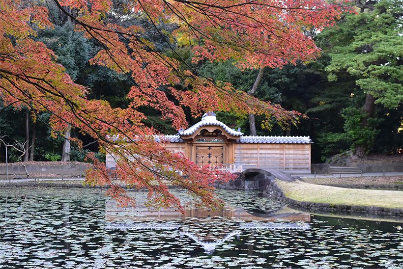 2020年に修復が完成した、格調高い唐門。写真提供：公益財団法人東京都公園協会