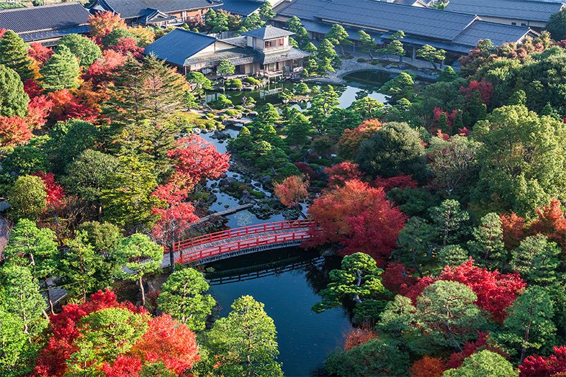 多様な樹々が集い、紅葉の見頃も長く楽しめます。写真提供：由志園