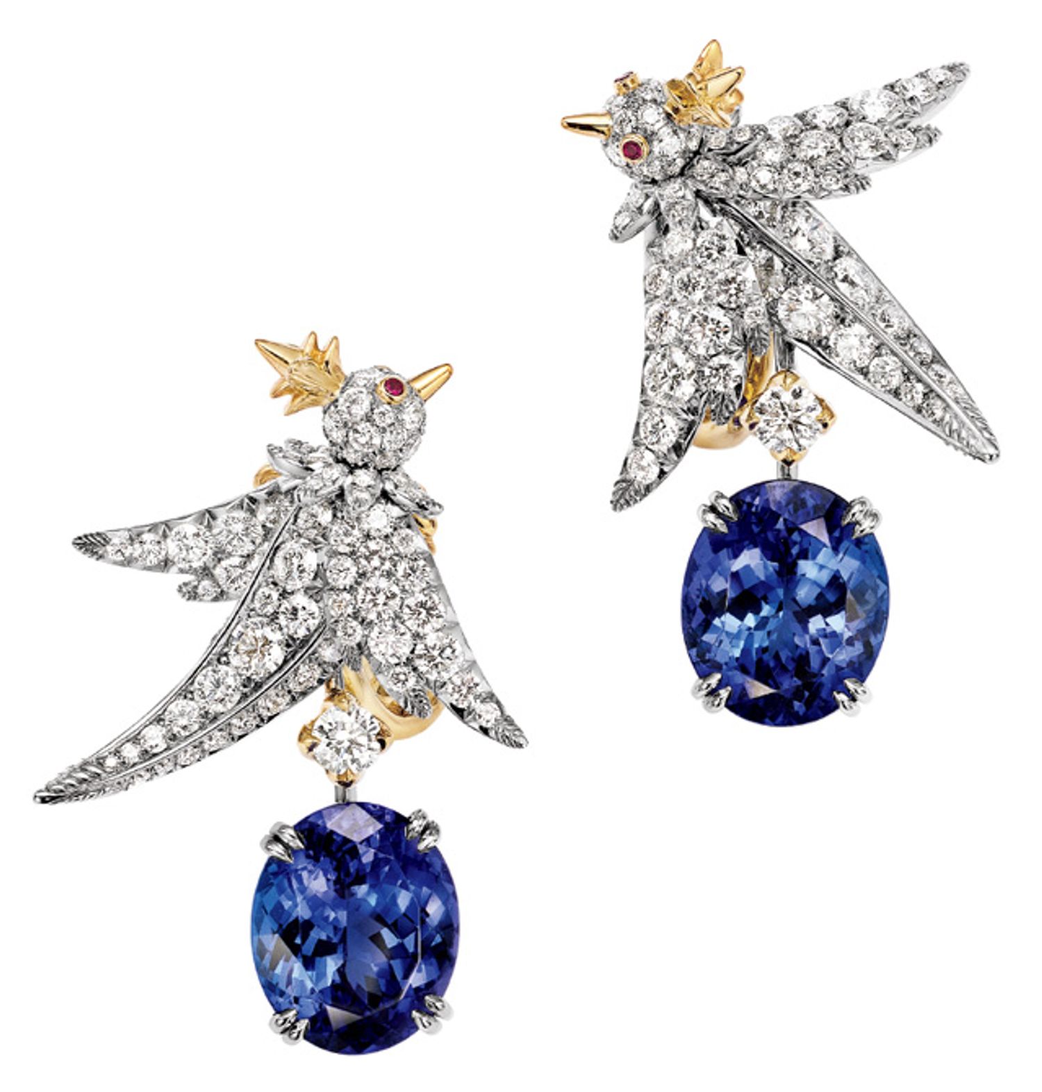 夕暮れの空に舞うティファニー・バード