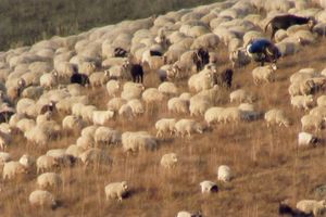 五木寛之さんが語る【こころのレシピ】四季それぞれに