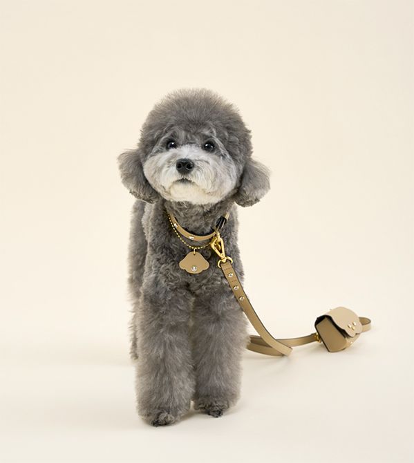 クラフトマンシップが光るアクセサリーをまとって、ちょっとおすまし顔。※首元のチャームはギフトボックスに含まれません。