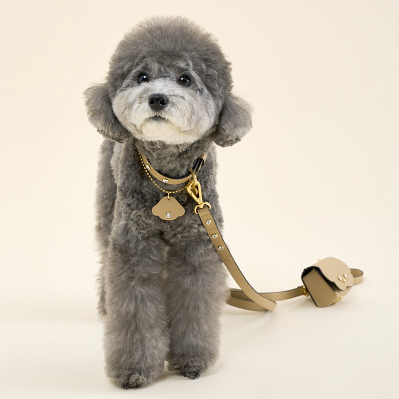 社会運勢学で読み解く2025年上半期──「基礎力」となる“人生基盤の