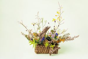 細野佳代さん（銀座あけぼの 代表取締役）が語る、大人の街・銀座の魅力