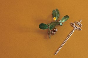 【Masayo’s Style】料理家・三枝政代さんが綴る「 暮らしの遊び心」11月～茶の実～