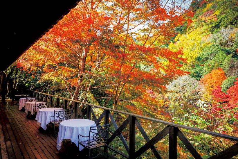 レストランの前のテラスからも紅葉を一望。11月下旬から12月上旬が見頃。