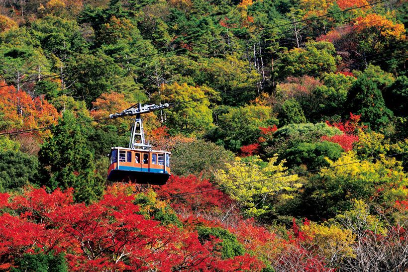 有馬温泉からロープウェーで六甲山頂まで上がれ、ダイナミックな自然を一望できる。近隣の鼓ヶ滝の紅葉もおすすめ。©HIRO/a.collectionRF /amanaimages