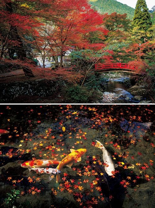 紅葉の名所としても知られている曹洞宗屈指の名刹、大寧寺。大谷山荘からも車で10分ほどなので、散策に訪れてみるのもおすすめ。