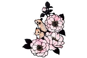 樹の上を住みかにする「ヒメネズミ」。小さな体でパワフルに生きています【いのちに想う】