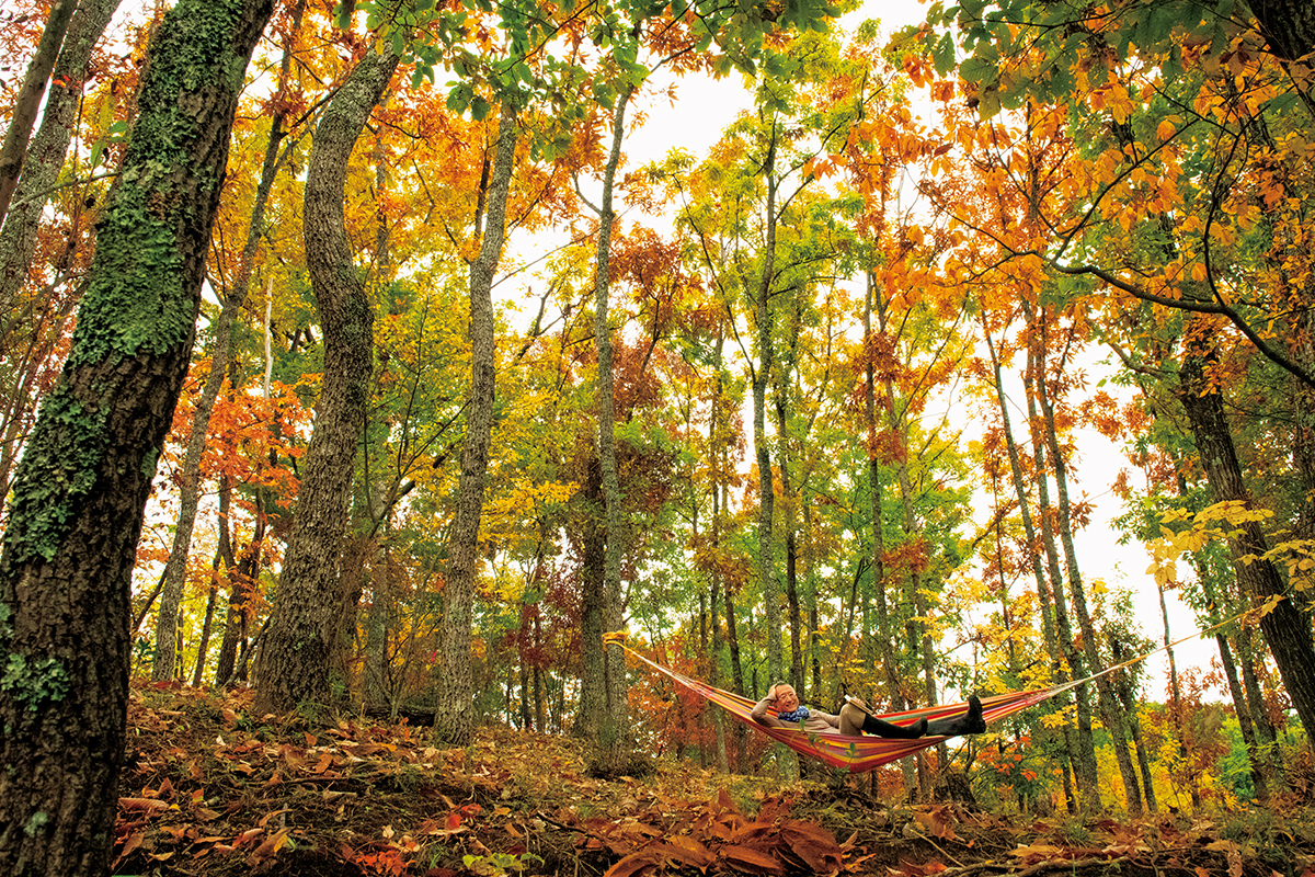 今森光彦さん「いきものと歩む“環境農家”の愉しみ」第8回 川が紡ぐ生命