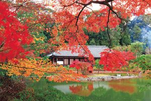 平安の頃より仏の心を伝える古寺「浄瑠璃寺」で、浄土世界を体感する
