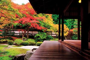 京都人・京都通に聞く。静かな名所、意外に知られていない紅葉名所【特集・京都の別格】