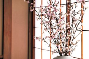 お正月に咲く「啓翁桜」で晴れやかな新年迎えを