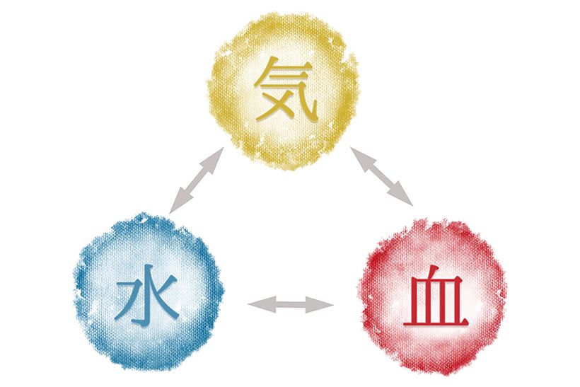 「気」は目に見えない生命エネルギー、「血」は血液や栄養素、「水」は水分やリンパ液といった血以外の体液を指す。