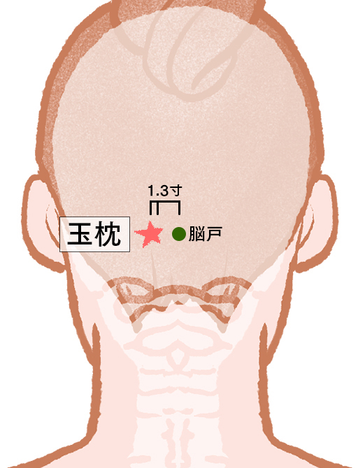 寒い季節に役立つ「玉枕」。風邪の引き始めの諸症状に効くほか視力改善