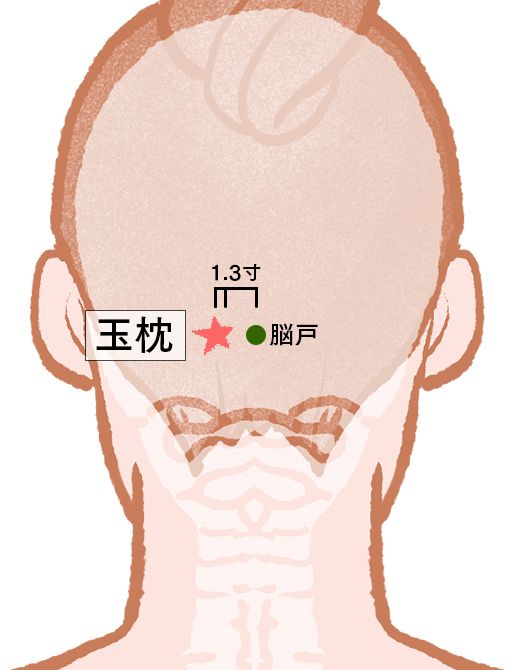 玉枕（ぎょくちん）：膀胱経のツボ