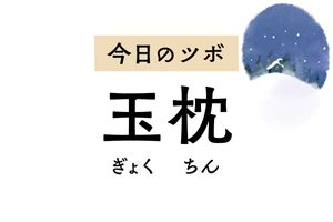 寒い季節に役立つ「玉枕」。風邪の引き始めの諸症状に効くほか視力改善作用も