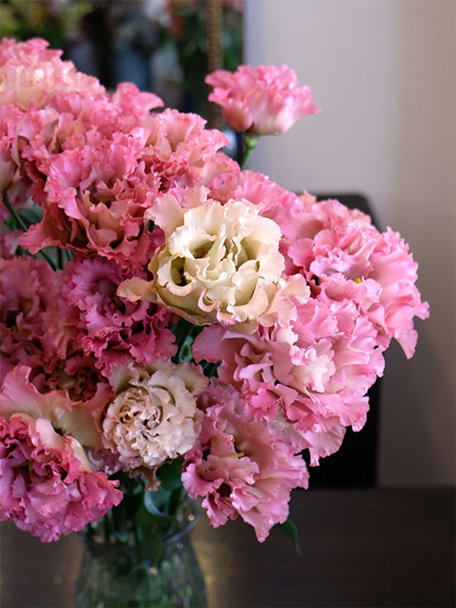 1年中出回るリシアンサスには、ニュアンスの異なるピンクが豊富にあります。これは少しくすんだピンクのグラデーションが魅力的な‘エグゼアンティークピンク’。名前通り味わいのあるアンティークな雰囲気を漂わせ、秋の雰囲気によく似合う品種です。秋のリシアンサスはサイズも大きくなり、ボリューム感があるのも魅力です。