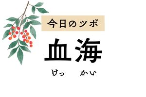 月経痛や月経不順を改善するツボ「血海」。太もも内側や膝の痛みを緩和する働きも