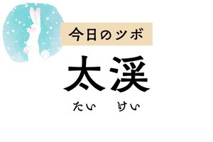 成長や発育を司る腎と関係する「太渓」。脳や耳、歯、髪などの老化現象を予防・改善