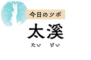 成長や発育を司る腎と関係する「太溪」。脳や耳、歯、髪などの老化現象を予防・改善