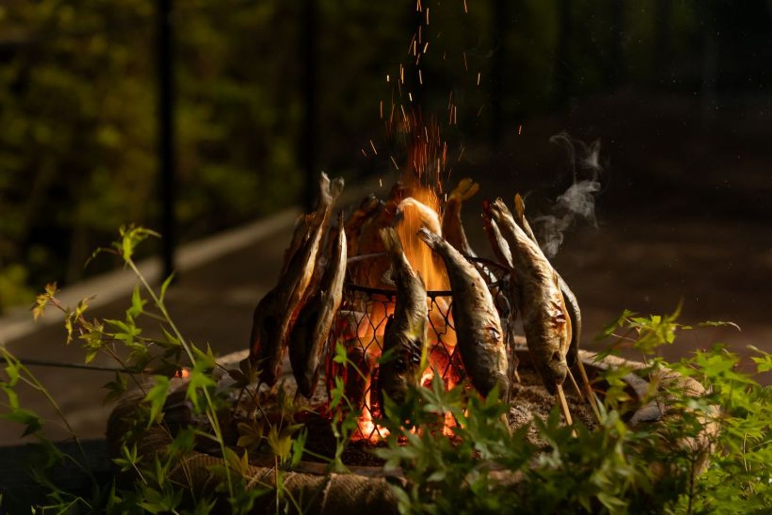 旬の川魚をライブパフォーマンスとともにいただく。