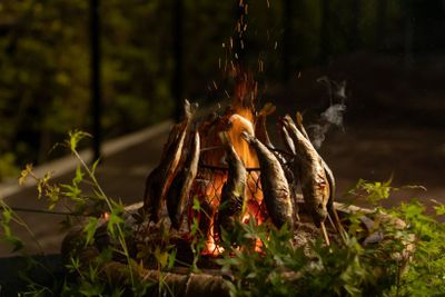 旬の川魚をライブパフォーマンスとともにいただく。