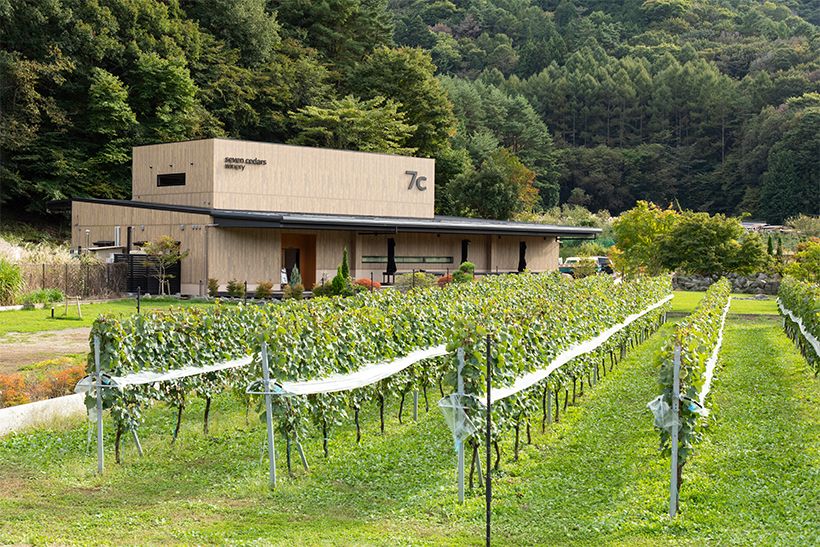 奥に見えるのが、醸造所やカーヴがあるワイナリー棟。手前は自社で栽培するぶどう畑。