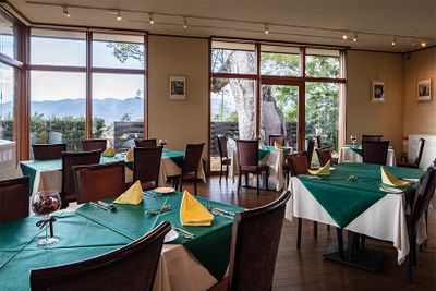 開放的な窓からは、約900年もの間この地に根を張る欅の大木を望む。欅の学名は「ゼルコバ」で、レストランの名前の由来。テーブルとテーブルの間隔を広くしているので、ゆっくりと過ごすことができる。