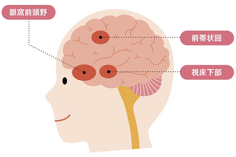 運動や仕事による負荷がかかりすぎて脳の自律神経の中枢（視床下部）が疲弊すると、「自律神経が疲れた」という情報を脳の眼窩前頭野に伝える。