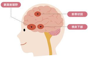 疲れているのは体ではなく脳。自律神経が乱れる更年期は特に疲れやすくなります