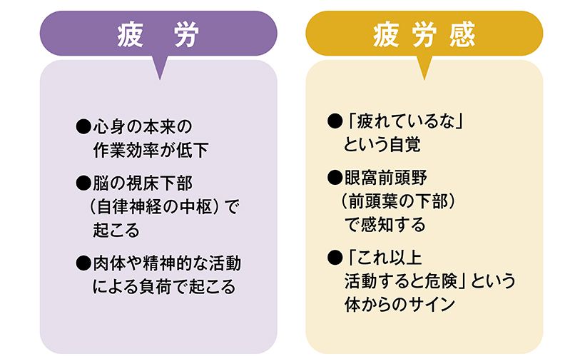 疲労と疲労感の違い