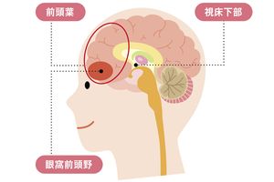 「飽きた」「眠い」は脳からの危険信号。疲労感を自覚することが我が身を守る第一歩