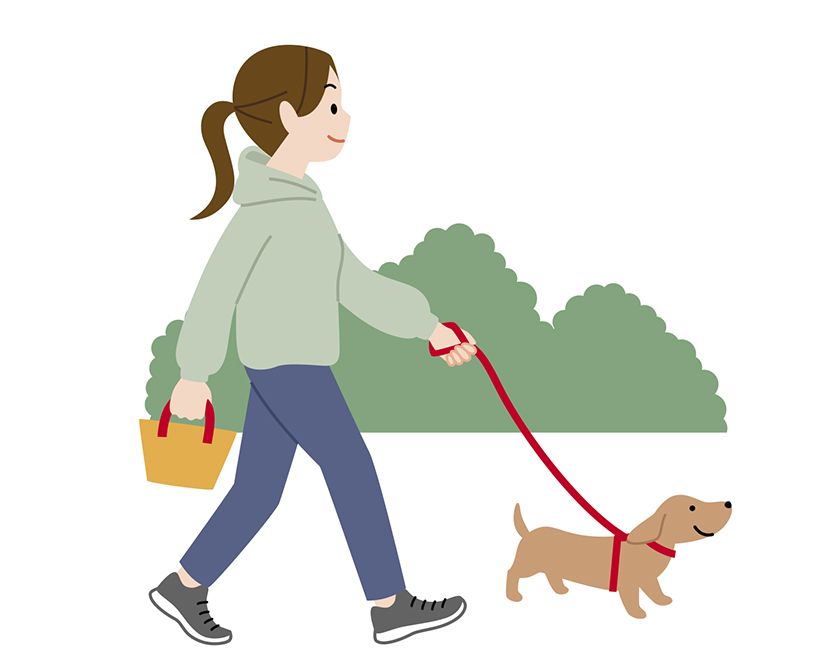 散歩や運動は完全に目覚めてから