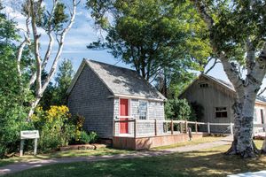 『赤毛のアン』が紡がれた住居跡へ。モンゴメリがその根元で執筆していたという木も残ります