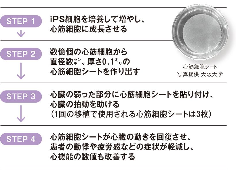 取材をもとに作成