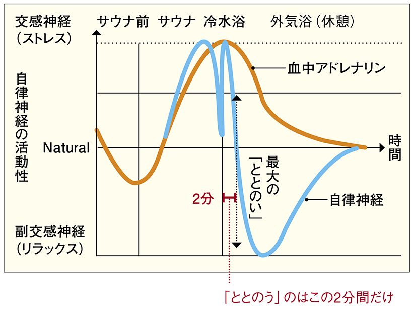 サウナの各過程で交感神経と副交感神経が大きく変動することがわかる。