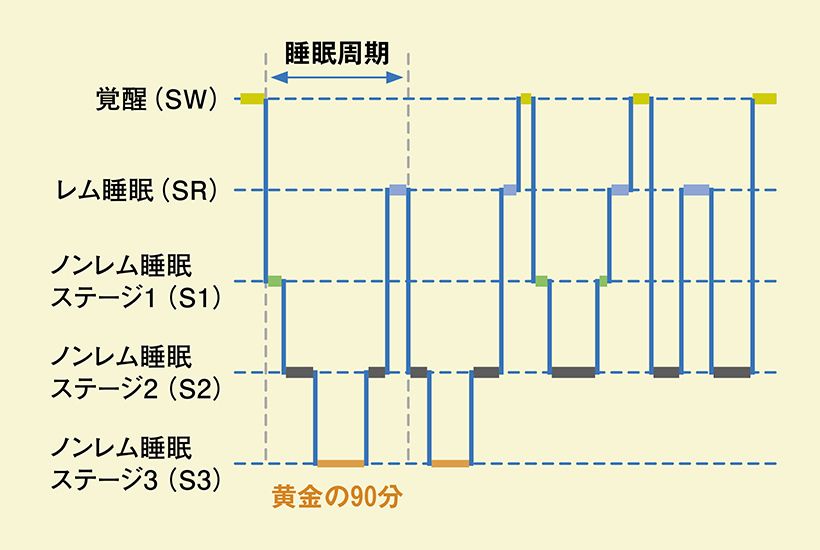 夜のサウナ習慣で深い眠りが長く続く