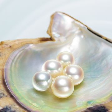 ［清美堂真珠］清らかに美しく90年　真珠の物語　　