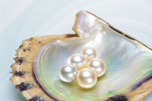 ［清美堂真珠］清らかに美しく90年　真珠の物語　　